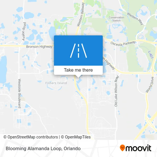 Blooming Alamanda Loop map