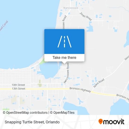 Snapping Turtle Street map