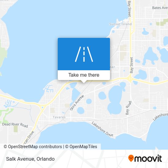 Mapa de Salk Avenue