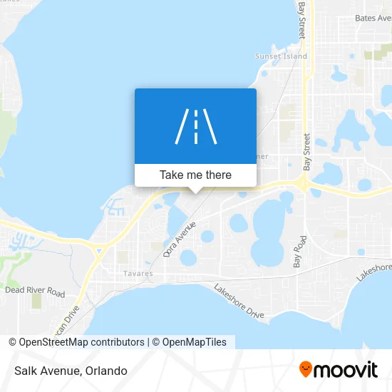 Salk Avenue map
