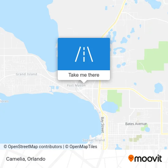 Camelia map