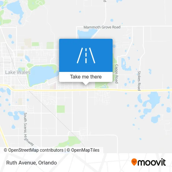Ruth Avenue map
