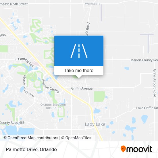 Palmetto Drive map