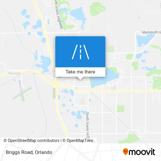 Briggs Road map