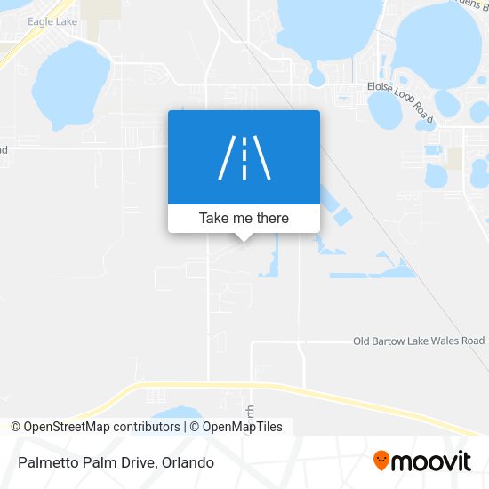 Palmetto Palm Drive map