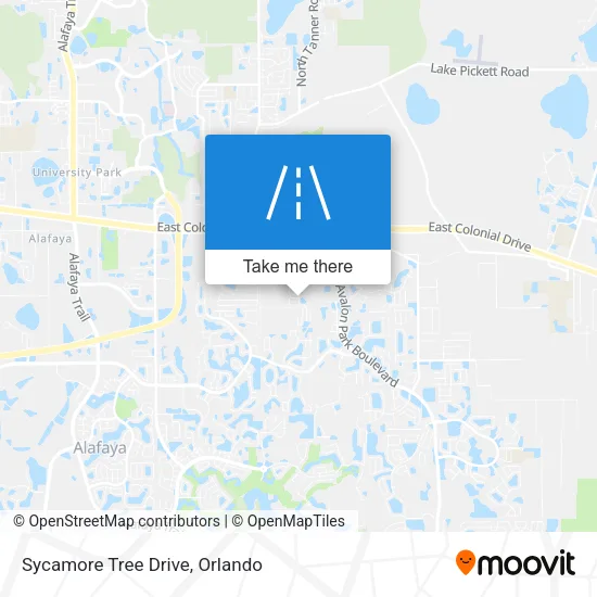 Sycamore Tree Drive map