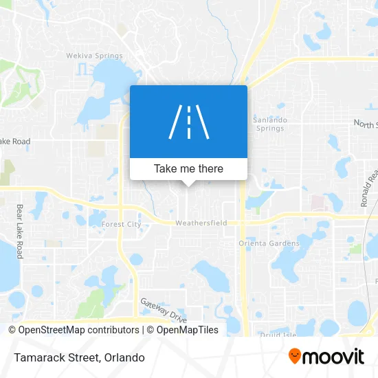 Tamarack Street map