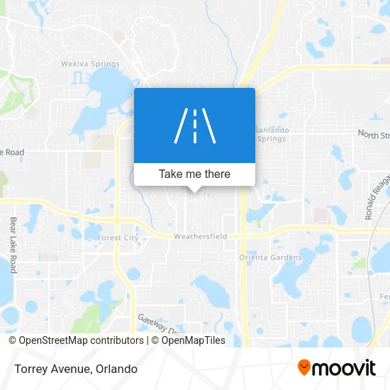 Torrey Avenue map