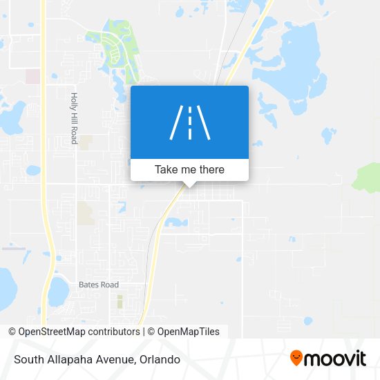 South Allapaha Avenue map