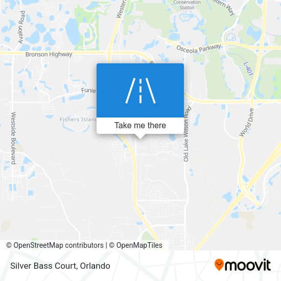 Silver Bass Court map