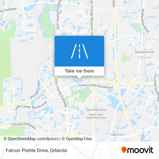 Falcon Pointe Drive map