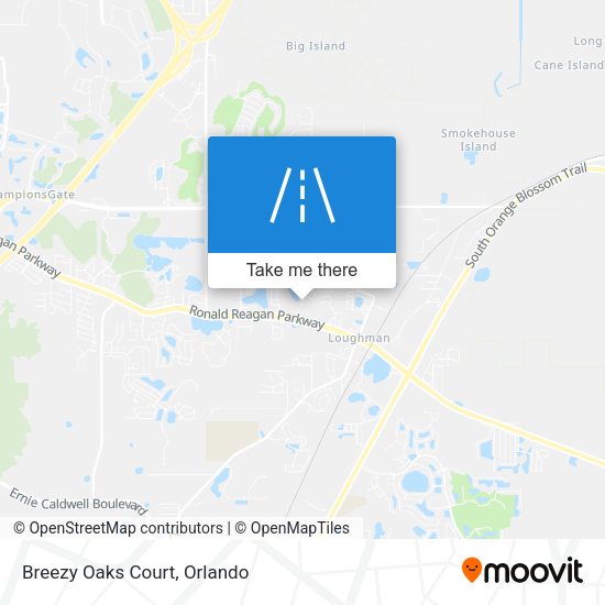 Mapa de Breezy Oaks Court