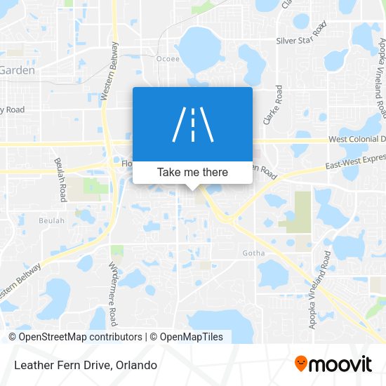 Leather Fern Drive map