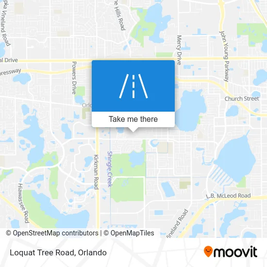 Loquat Tree Road map