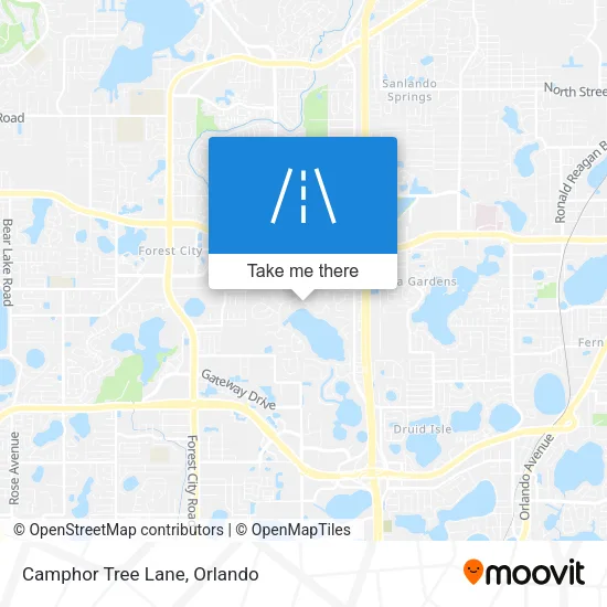 Camphor Tree Lane map