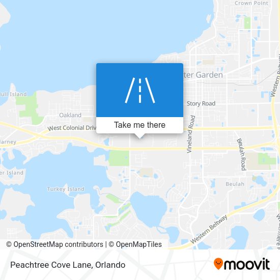 Peachtree Cove Lane map