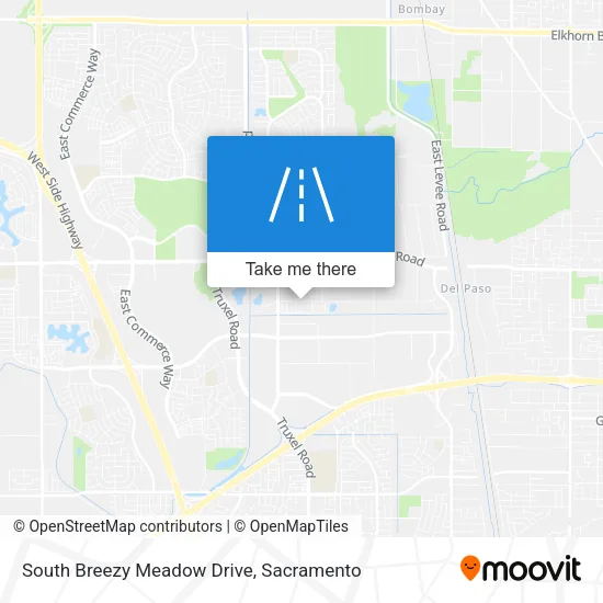 Mapa de South Breezy Meadow Drive