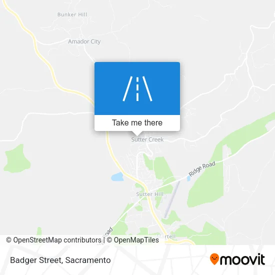 Badger Street map