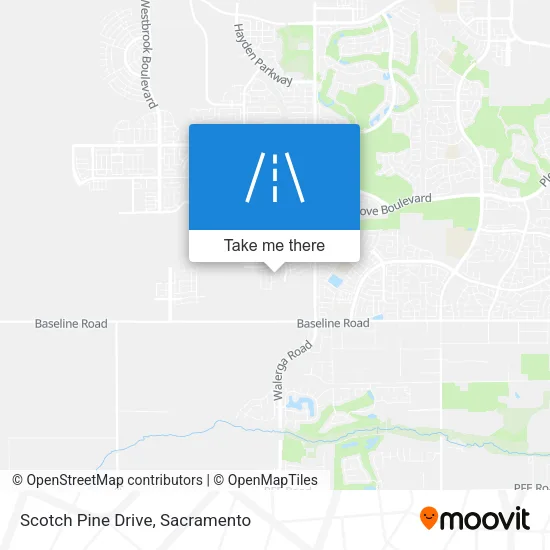Scotch Pine Drive map