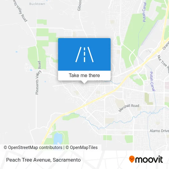 Peach Tree Avenue map