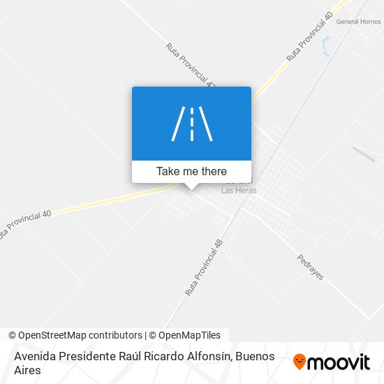 Avenida Presidente Raúl Ricardo Alfonsín map