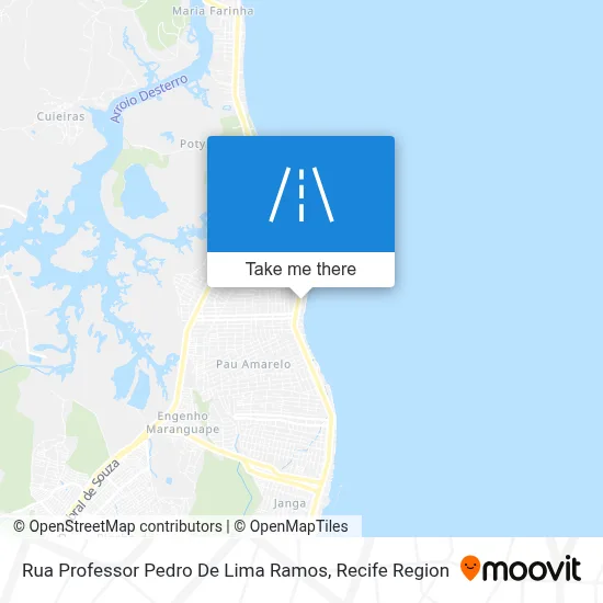 Rua Professor Pedro De Lima Ramos map