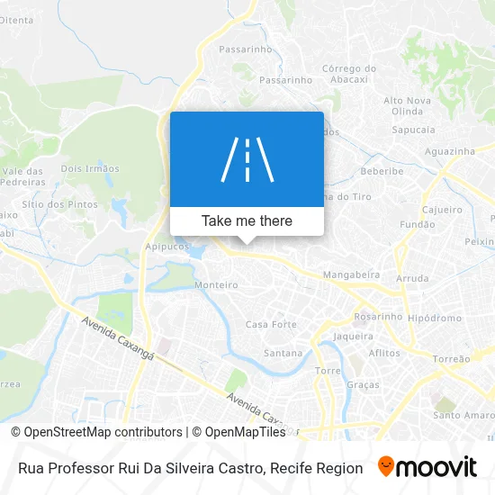 Rua Professor Rui Da Silveira Castro map
