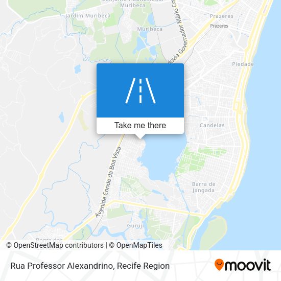 Rua Professor Alexandrino map