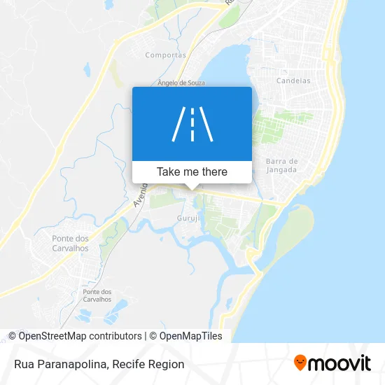 Rua Paranapolina map