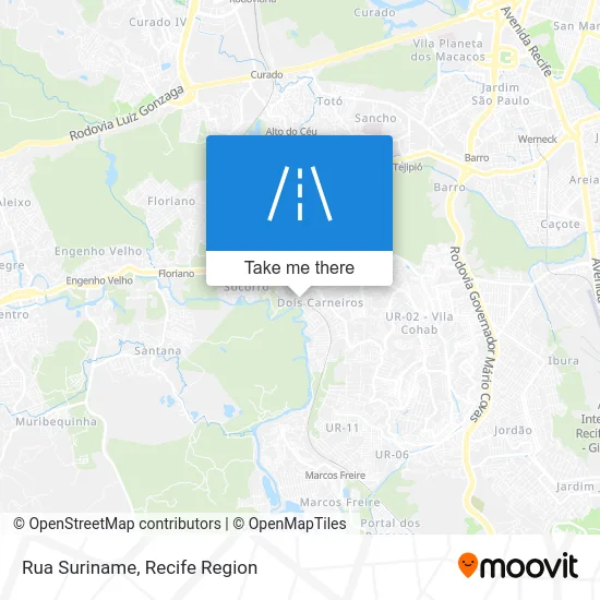 Rua Suriname map