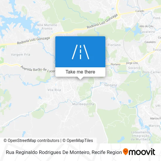 Rua Reginaldo Rodrigues De Monteiro map