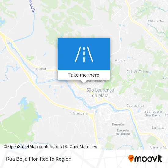 Rua Beija Flor map