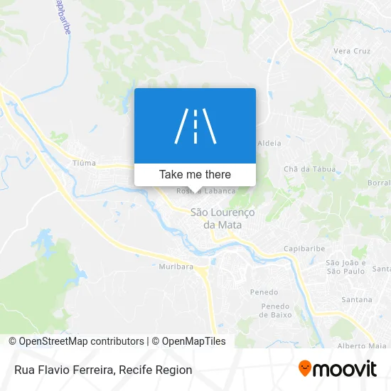 Rua Flavio Ferreira map