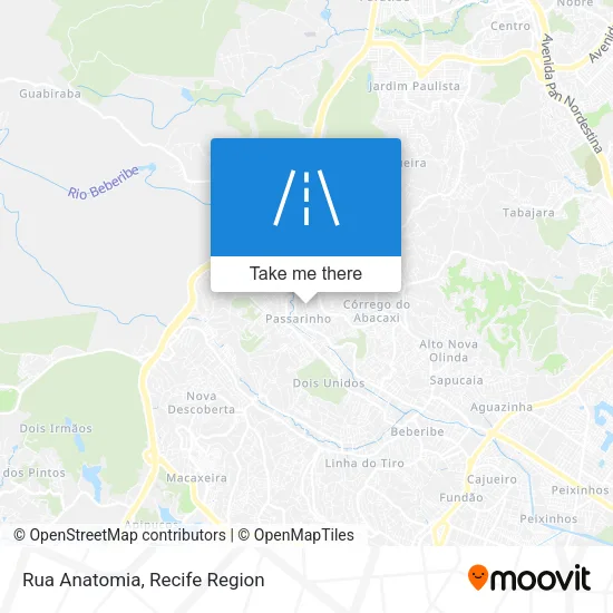 Rua Anatomia map