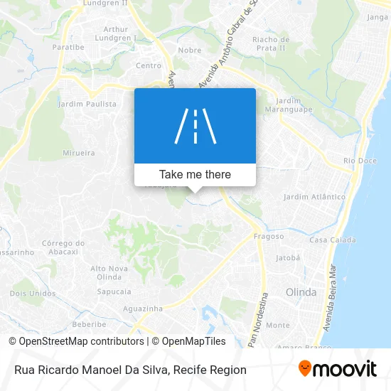 Rua Ricardo Manoel Da Silva map