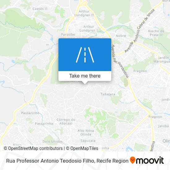 Rua Professor Antonio Teodosio Filho map
