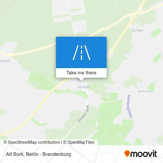 Alt Bork map