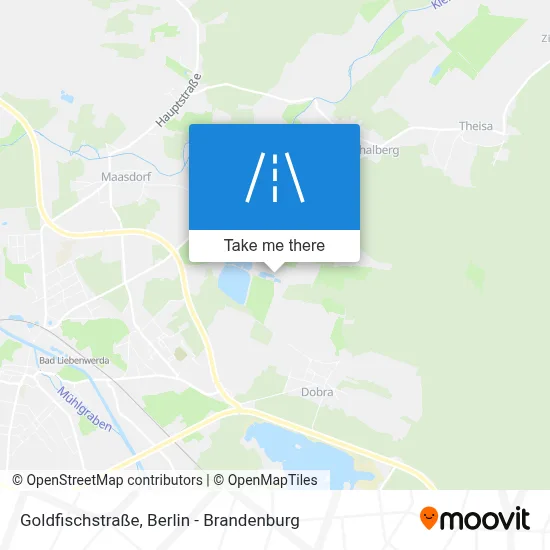 Goldfischstraße map