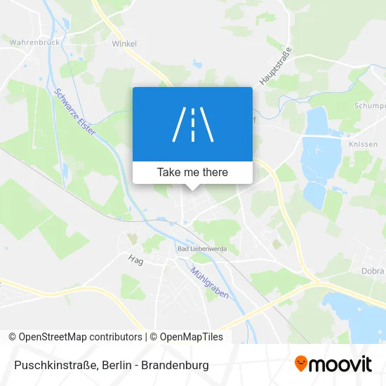 Карта Puschkinstraße