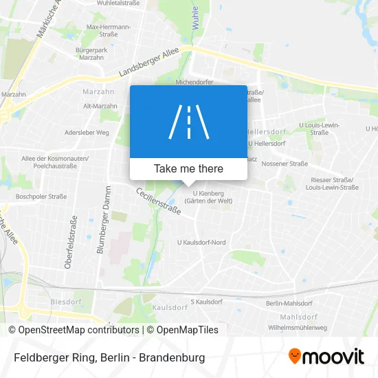 Feldberger Ring map