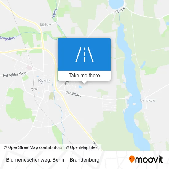 Карта Blumeneschenweg