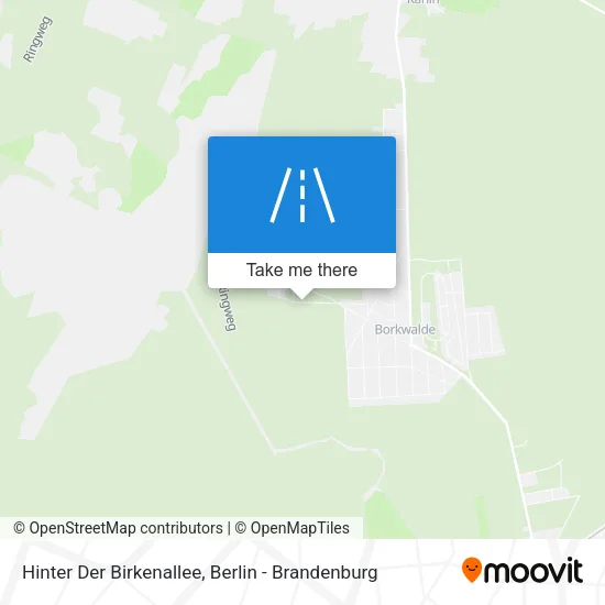 Карта Hinter Der Birkenallee