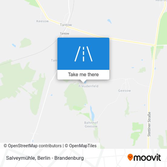 Salveymühle map