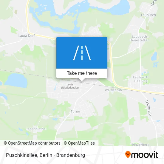 Карта Puschkinallee