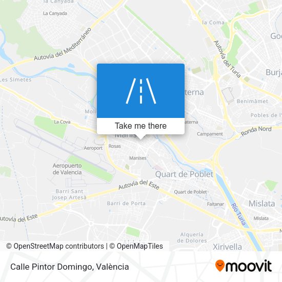 Calle Pintor Domingo map