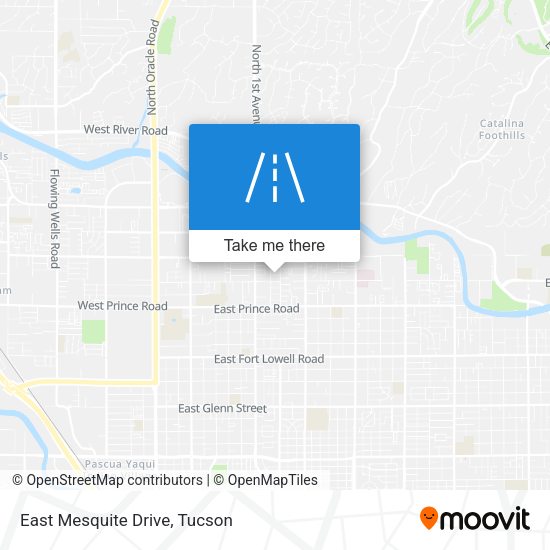 East Mesquite Drive map