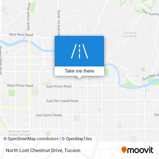 North Lost Chestnut Drive map