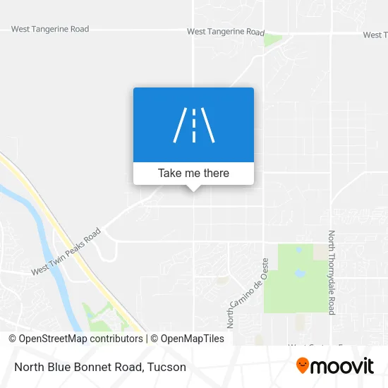 North Blue Bonnet Road map