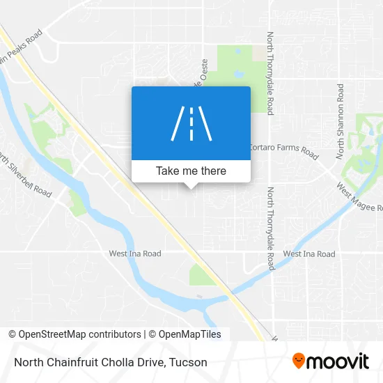 North Chainfruit Cholla Drive map