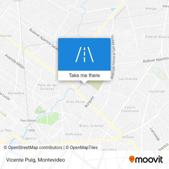 Vicente Puig map